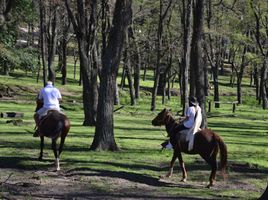  Land for sale in Santa Maria, Cordoba, Santa Maria