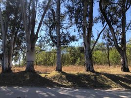  Land for sale in Santa Maria, Cordoba, Santa Maria