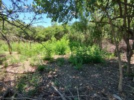  Land for sale in Punilla, Cordoba, Punilla