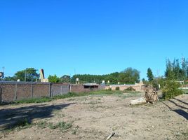  Land for sale in Maipu, Mendoza, Maipu