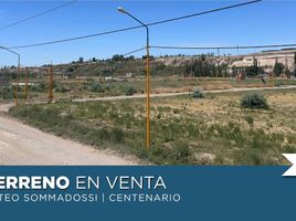  Land for sale in Confluencia, Neuquen, Confluencia