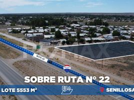  Land for sale in Confluencia, Neuquen, Confluencia