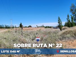  Land for sale in Confluencia, Neuquen, Confluencia