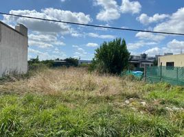  Land for sale in La Plata, Buenos Aires, La Plata