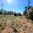  Land for sale in Rio Negro, Bariloche, Rio Negro