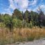  Land for sale in Rio Negro, Bariloche, Rio Negro