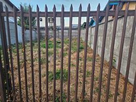  Land for sale in Chile, Mafil, Valdivia, Los Rios, Chile