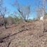  Terreno (Parcela) en venta en Dist Pochutla, Oaxaca, Dist Pochutla