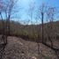  Terreno (Parcela) en venta en Dist Pochutla, Oaxaca, Dist Pochutla