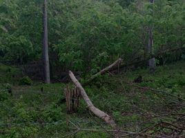  Terreno (Parcela) en venta en Dist Pochutla, Oaxaca, Dist Pochutla