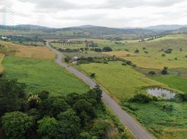  Land for sale in Narcisa De Jesus, Nobol, Narcisa De Jesus