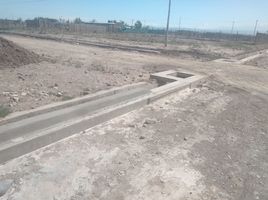  Terreno (Parcela) en venta en Lujan De Cuyo, Mendoza, Lujan De Cuyo