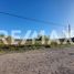  Land for sale in Confluencia, Neuquen, Confluencia