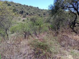  Land for sale in Punilla, Cordoba, Punilla