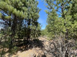  Terreno (Parcela) en venta en Rio Negro, Bariloche, Rio Negro