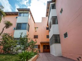 3 Habitación Apartamento en venta en Confluencia, Neuquen, Confluencia