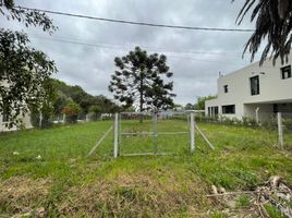  Land for sale in La Plata, Buenos Aires, La Plata