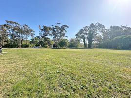  Land for sale in General Alvarado, Buenos Aires, General Alvarado