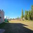  Land for sale in Confluencia, Neuquen, Confluencia