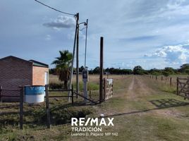  Terrain for sale in Libertad, Chaco, Libertad