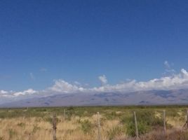  Grundstück zu verkaufen in San Carlos, Mendoza, San Carlos