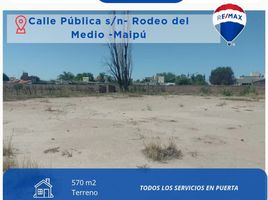  Land for sale in Maipu, Mendoza, Maipu