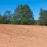  Land for sale in Chignahuapan, Puebla, Chignahuapan