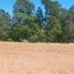  Land for sale in Chignahuapan, Puebla, Chignahuapan