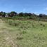  Land for sale in Panotla, Tlaxcala, Panotla