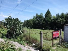  Land for sale in Panotla, Tlaxcala, Panotla
