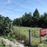  Land for sale in Panotla, Tlaxcala, Panotla