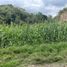  Land for sale in Tepetitla De Lardizabal, Tlaxcala, Tepetitla De Lardizabal