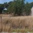  Land for sale in Panotla, Tlaxcala, Panotla