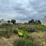  Land for sale in Tepetitla De Lardizabal, Tlaxcala, Tepetitla De Lardizabal