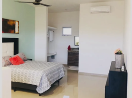 Estudio Apartamento en alquiler en Merida, Yucatán, Merida, Yucatán