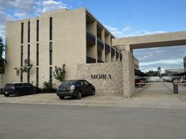 2 Bedroom Condo for rent in Merida, Yucatan, Merida, Yucatan