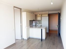 1 Habitación Apartamento en alquiler en San Jode de Maipo, Cordillera, San Jode de Maipo