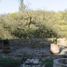 5 Bedroom House for sale in Santa Catarina, Nuevo Leon, Santa Catarina