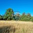  Land for sale in Llanquihue, Los Lagos, Puerto Varas, Llanquihue