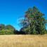  Land for sale in Llanquihue, Los Lagos, Puerto Varas, Llanquihue