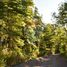  Land for sale in Los Lagos, Puerto Varas, Llanquihue, Los Lagos