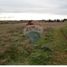  Land for sale in Los Lagos, Frutillar, Llanquihue, Los Lagos