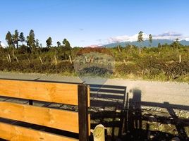  Terreno (Parcela) en venta en Chile, Puerto Montt, Llanquihue, Los Lagos, Chile