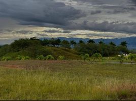  Land for sale in Pereira, Risaralda, Pereira