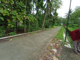 2 Schlafzimmer Haus zu verkaufen in Sleman, Yogyakarta, Moyudan