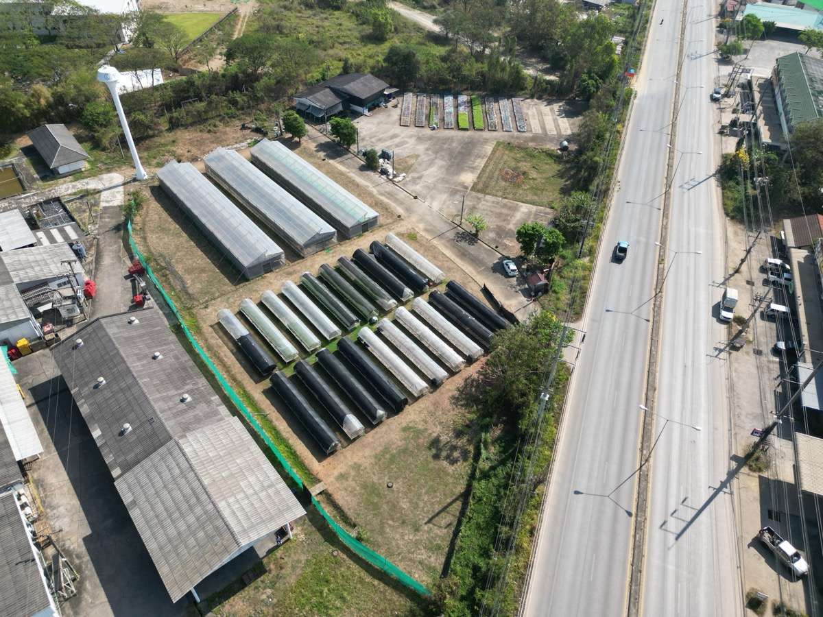 Land for sale In Nong Khwai Chiang Mai