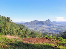  Grundstück zu verkaufen in Karangasem, Bali, Abang, Karangasem