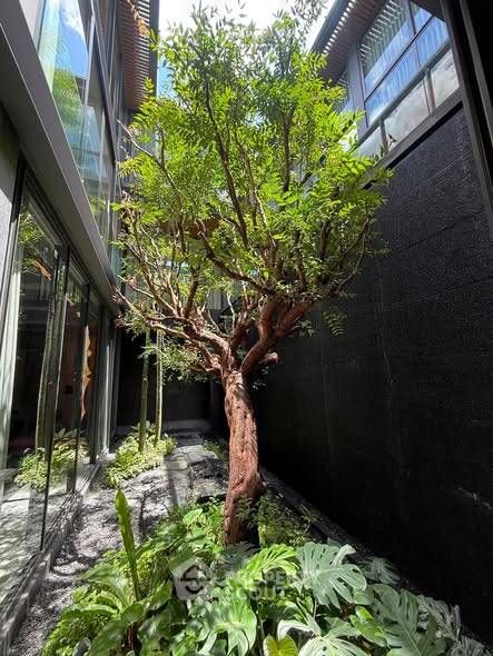 5 Bedrooms House for sale In Sonle Residences Wong Sawang Bangkok