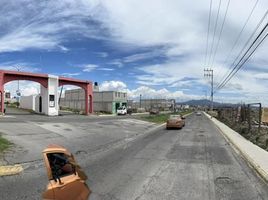  Grundstück zu verkaufen in Pachuca De Soto, Hidalgo, Pachuca De Soto