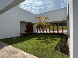Terrain à vendre à Zapopan, Jalisco, Zapopan, Jalisco